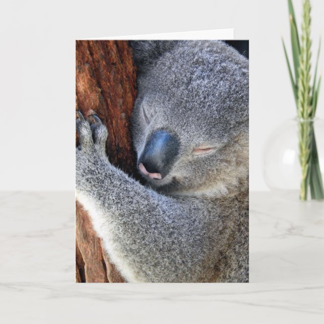 Sleeping Koala Holiday Card (Front)