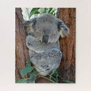 Sleeping Koala, Jigsaw Puzzle
