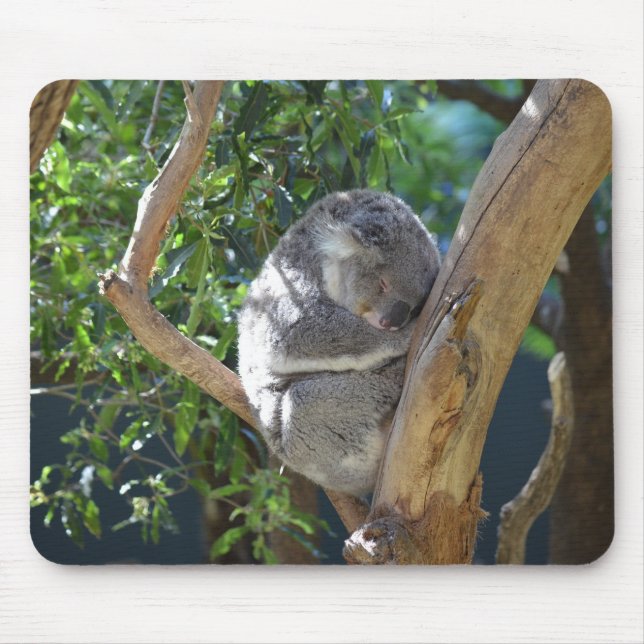 Sleeping Koala Photo Mouse Pad (Front)