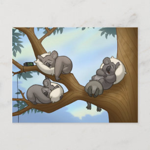 Sleeping Koala Postcard