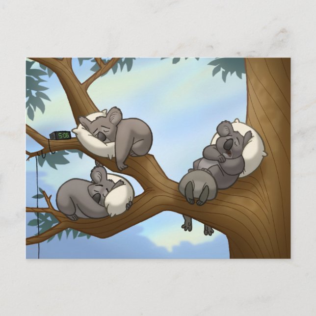 Sleeping Koala Postcard (Front)