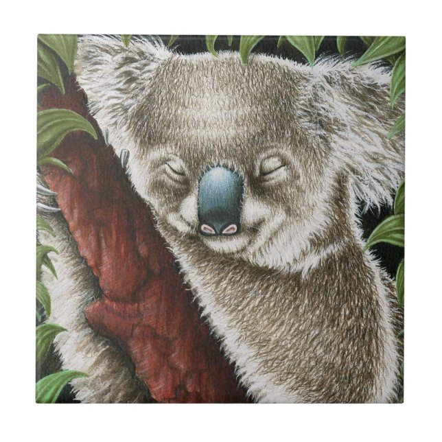 Sleeping Koala Tile (Front)