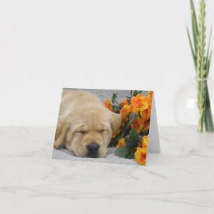 Sleeping Labrador Puppy with Flowers Note Card