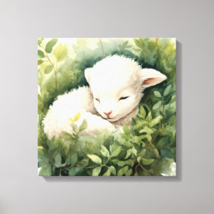 Sleeping Lamb  Canvas Print