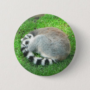 Sleeping Lemur On Grass 2 Inch Round Button