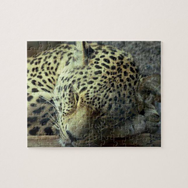 Sleeping Leopard Jigsaw Puzzle (Horizontal)