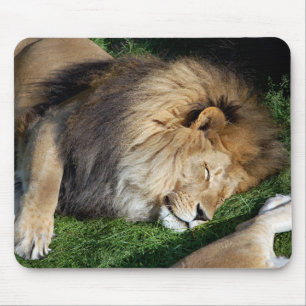 Sleeping Lion Mousepad