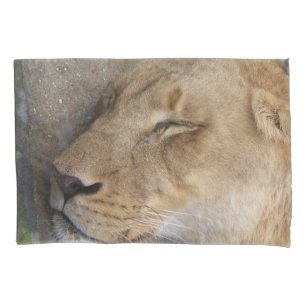 sleeping lioness pillow case