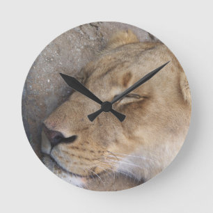 Sleeping Lioness Round Clock
