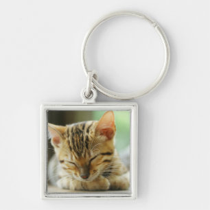 Sleeping Little Baby Kitty Keychain