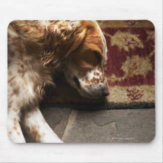 Sleeping Llewelyn setter Mouse Pad