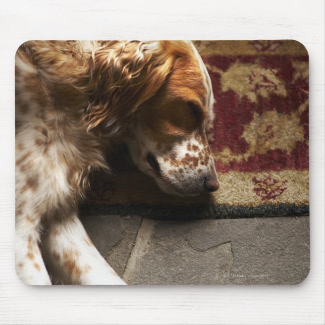 Sleeping Llewelyn setter Mouse Pad (Front)