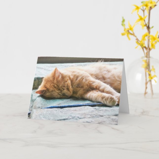 Sleeping Longhaired Ginger Cat Card (Yellow Flower)