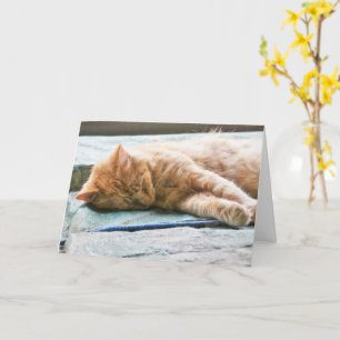 Sleeping Longhaired Ginger Cat Card