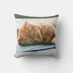 Sleeping Longhaired Ginger Cat Throw Pillow