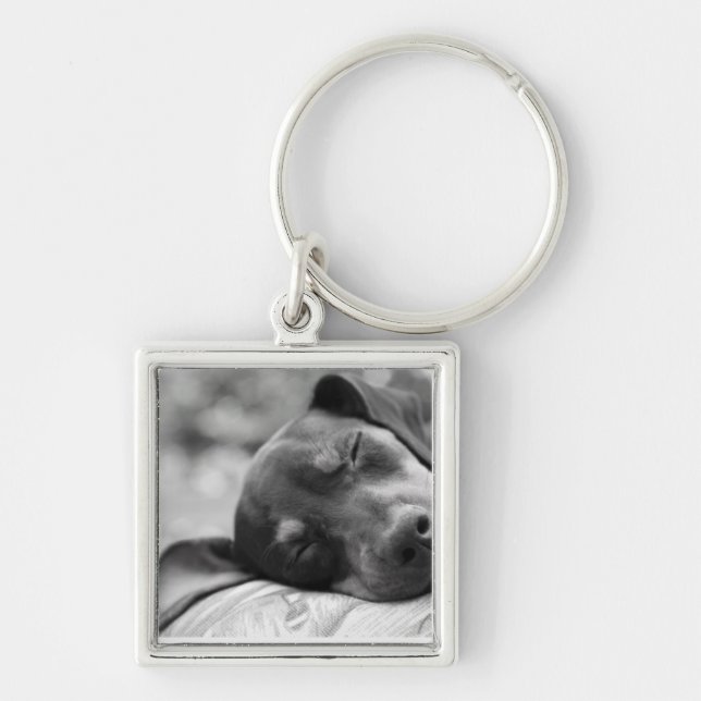 Sleeping Miniature Pinscher dog Keychain (Front)