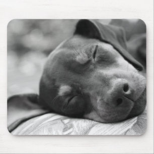 Sleeping Miniature Pinscher dog Mouse Pad