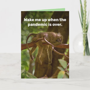 Sleeping Monkey- Wake Me Up When Pandemic Is Over Card