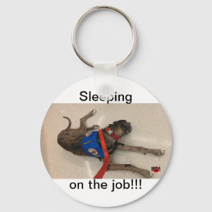 Sleeping on the job keychain