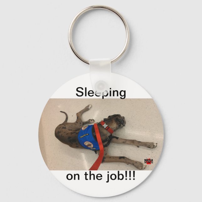 Sleeping on the job keychain (Front)