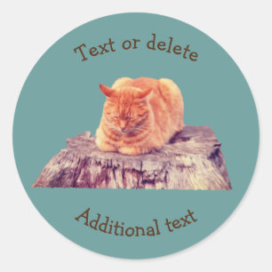 Sleeping Orange Tabby Cat Animal Personalized Classic Round Sticker
