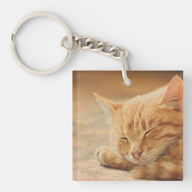 Sleeping Orange Tabby Cat Keychain (Front)