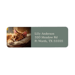 Sleeping Orange Tabby Cat Pet Art Return Address