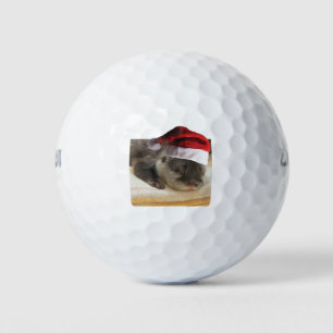 Sleeping-Otter Golf Balls