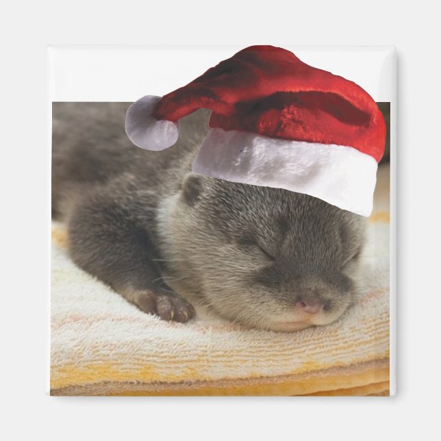 Sleeping-Otter Magnet (Front)
