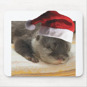 Sleeping-Otter Mouse Pad