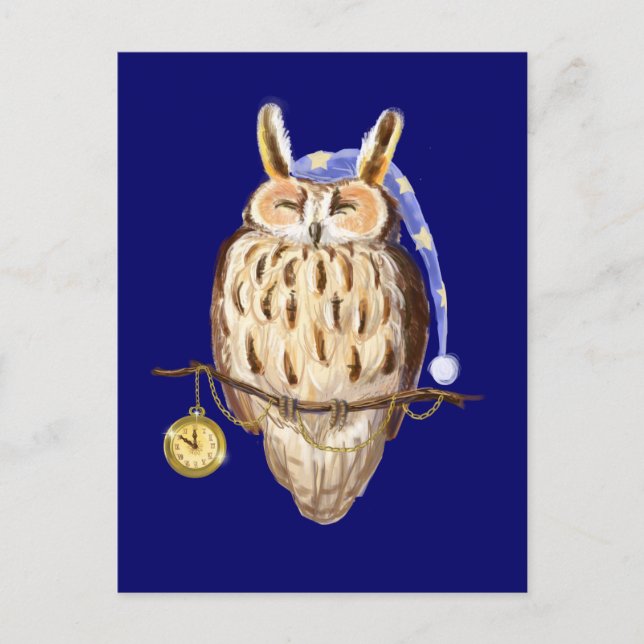 Sleeping owl postcard (Front)