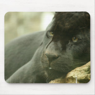 Sleeping Panther Mouse Pad
