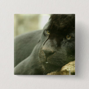 Sleeping Panther Pin