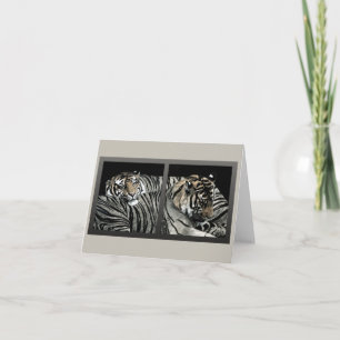 "Sleeping Patterns" - Tiger Card