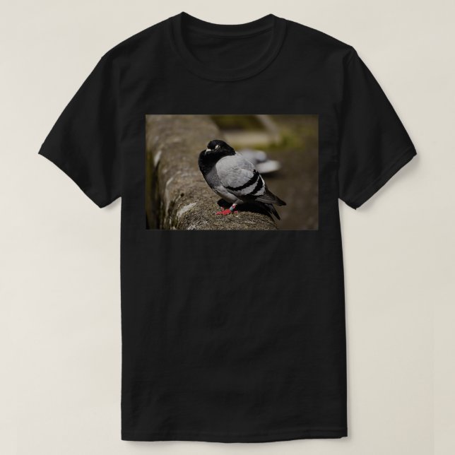Sleeping pigeon 2 T-Shirt (Design Front)