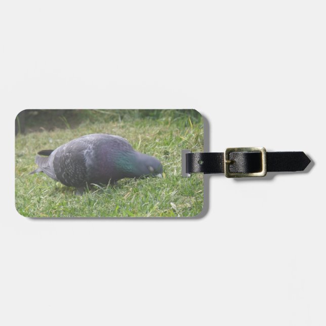 Sleeping Pigeon Custom Luggage Tag (Front Horizontal)