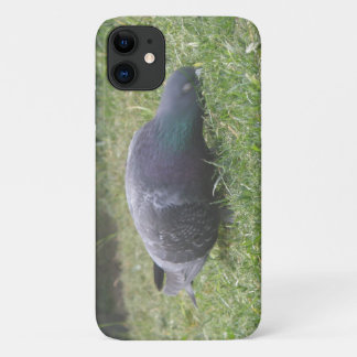 Sleeping Pigeon iPhone 3 Case
