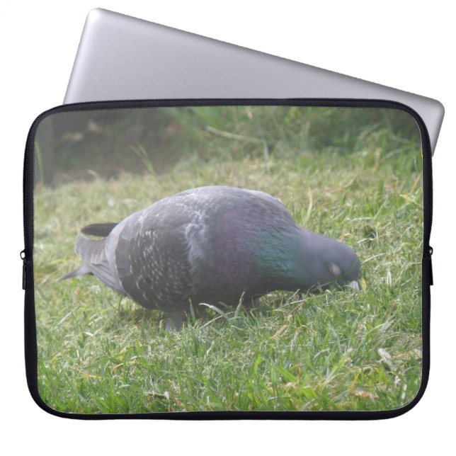Sleeping Pigeon Laptop Bag (Front)