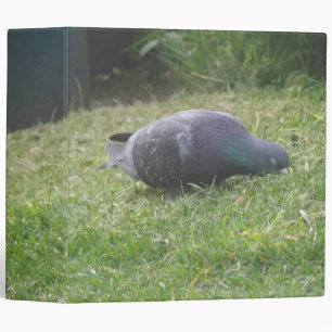 Sleeping Pigeon Photo Album Binder