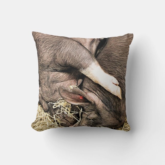 SLEEPING PIGS THROW PILLOW (Front)