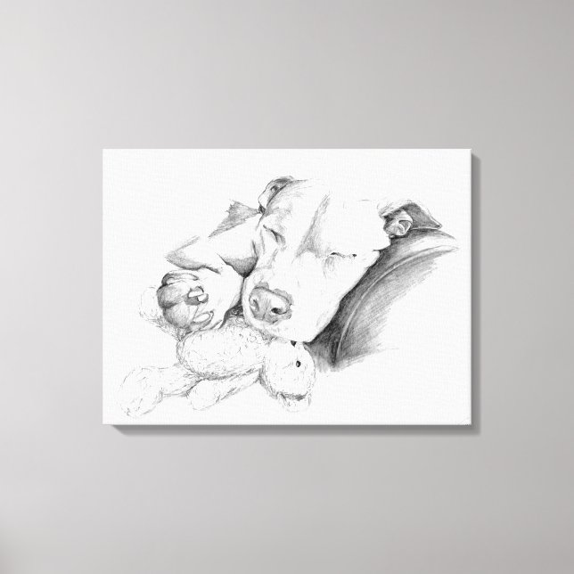 Sleeping Pitbull Sketch Canvas Print (Front)