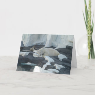 Sleeping Polar Bear Card