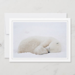 Sleeping Polar Bear Holiday Card