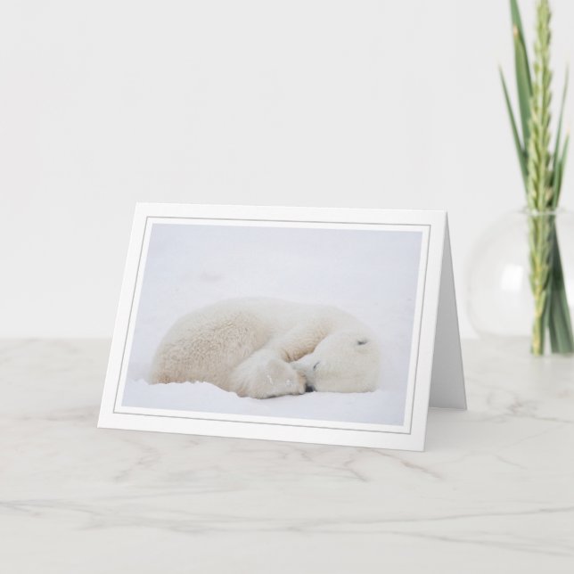 Sleeping Polar Bear Holiday Card (Front)