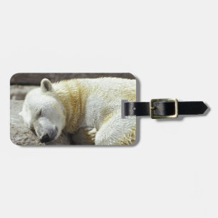 Sleeping Polar Bear Luggage Tag