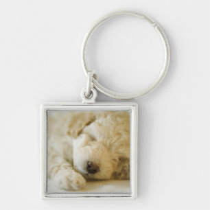 Sleeping Poodle puppy 2 Keychain