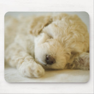 Sleeping Poodle puppy 2 Mouse Pad