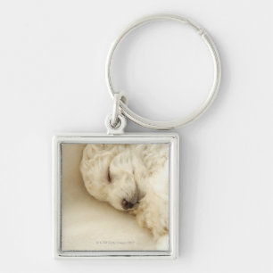 Sleeping Poodle puppy Keychain
