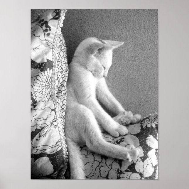 Sleeping Poster (Front)