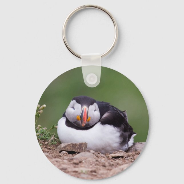 Sleeping Puffin Keychain (Front)